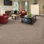Interesting Facts Wall to wall carpets